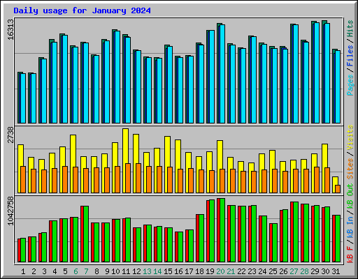 Daily usage for January 2024