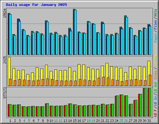 Daily usage for January 2025