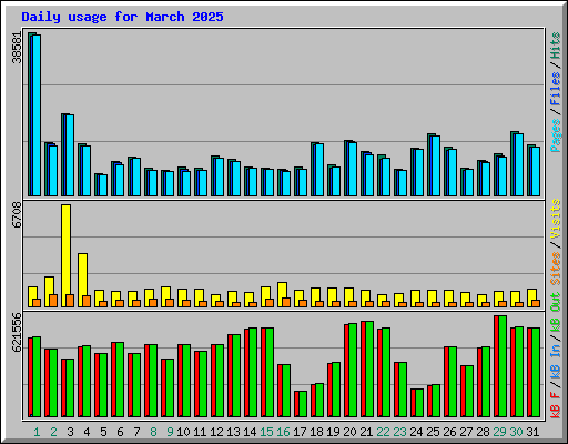 Daily usage for March 2025