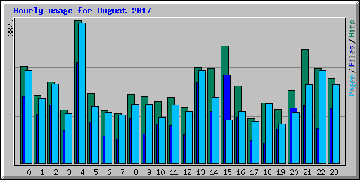 Hourly usage for August 2017