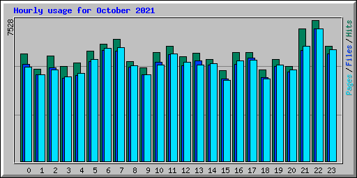 Hourly usage for October 2021