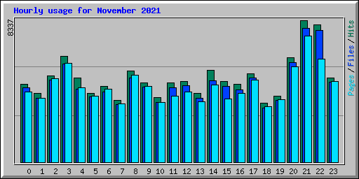 Hourly usage for November 2021