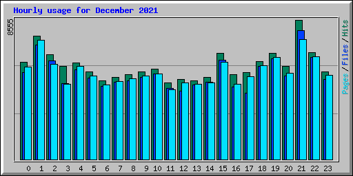 Hourly usage for December 2021
