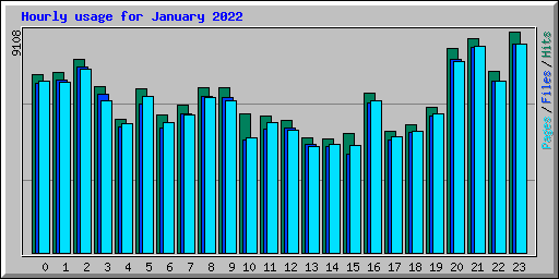 Hourly usage for January 2022