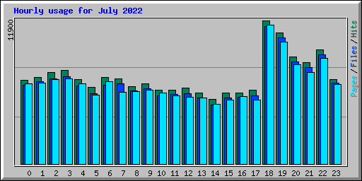 Hourly usage for July 2022