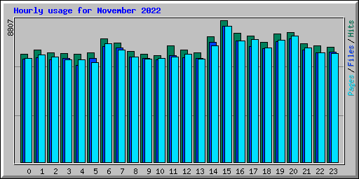 Hourly usage for November 2022
