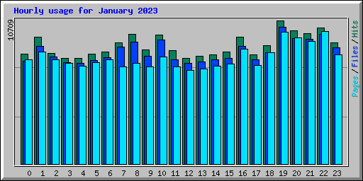 Hourly usage for January 2023