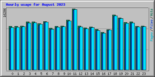 Hourly usage for August 2023