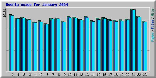 Hourly usage for January 2024