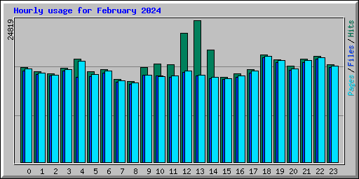 Hourly usage for February 2024