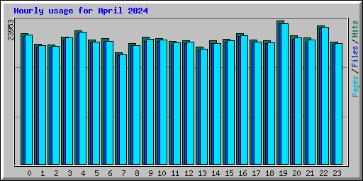 Hourly usage for April 2024