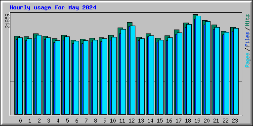 Hourly usage for May 2024