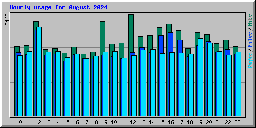 Hourly usage for August 2024