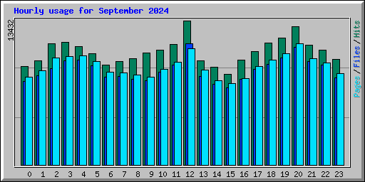 Hourly usage for September 2024