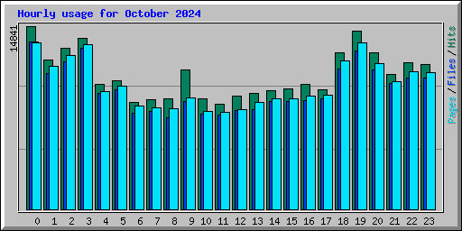 Hourly usage for October 2024