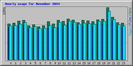 Hourly usage for November 2024
