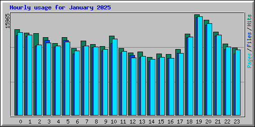 Hourly usage for January 2025