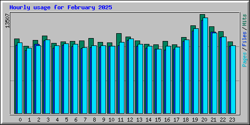 Hourly usage for February 2025