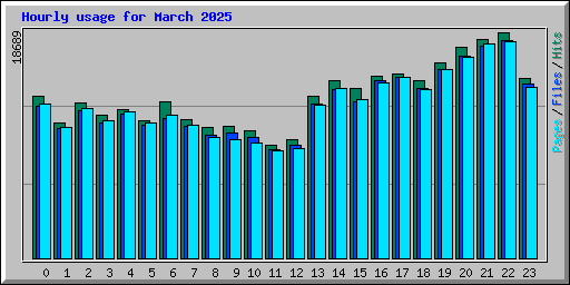 Hourly usage for March 2025