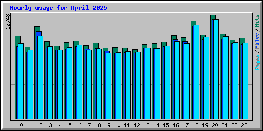 Hourly usage for April 2025