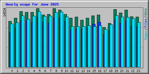 Hourly usage for June 2025