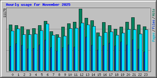 Hourly usage for November 2025