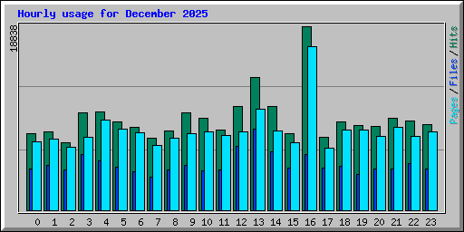 Hourly usage for December 2025