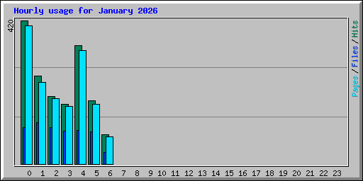 Hourly usage for January 2026