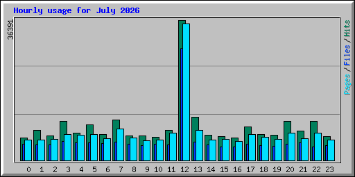 Hourly usage for July 2026